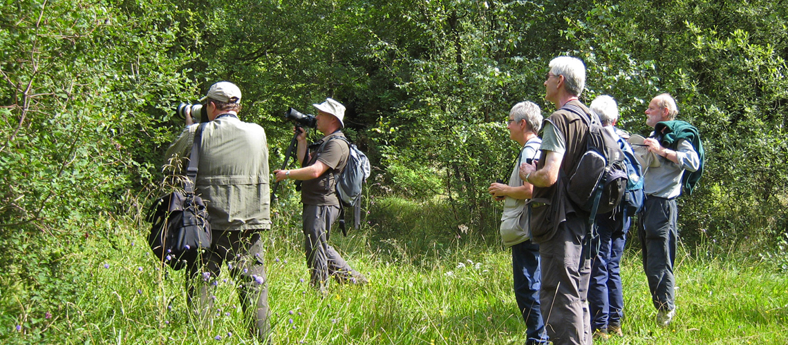 Hunting for the Brown Hairstreak at Bernwood Forest in 2008. © 2024 Steven Cheshire.