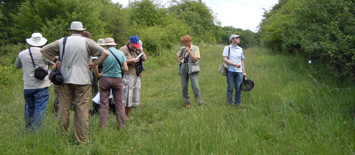 Searching for the Dark Green Fritillary at Combrook in 2008. © 2024 Steven Cheshire.