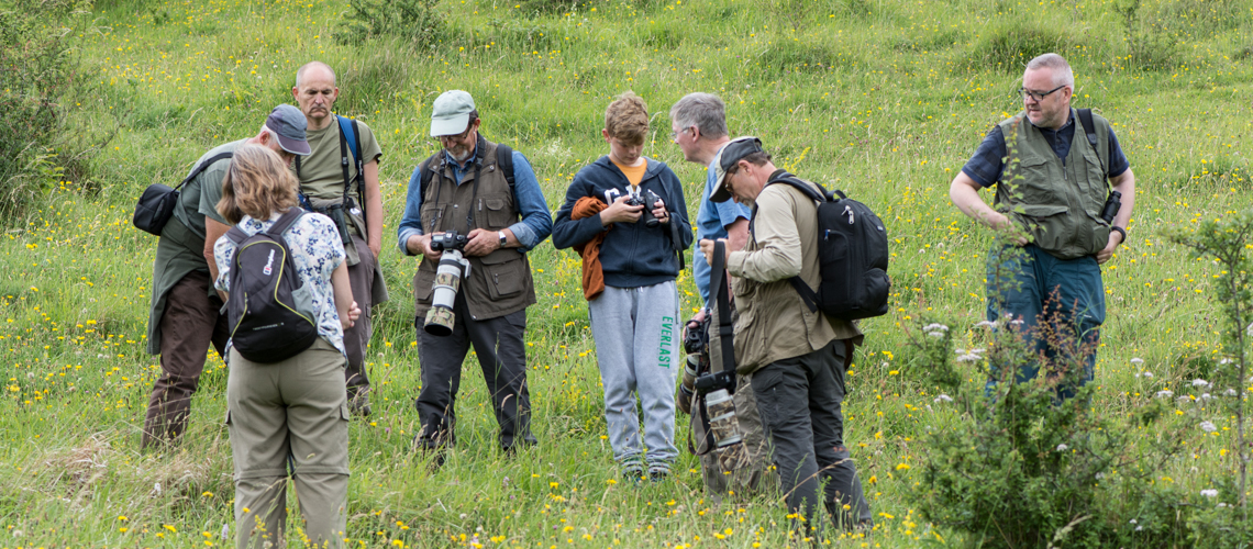 The search for the Large Blue in Gloucestershire. © 2024 Steven Cheshire.