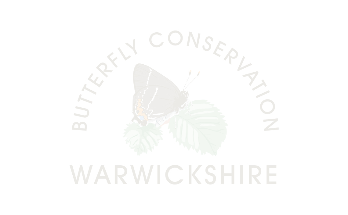 Phil Parr awarded Outstanding Volunteer Award by Butterfly Conservation.