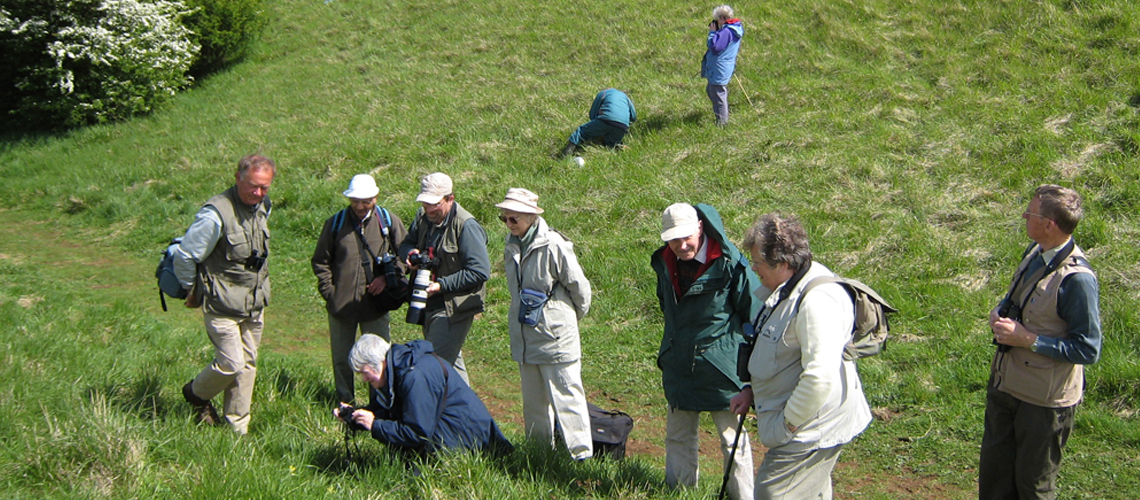 Searching for the Duke of Burgundy at the Bill Smylie Reserve near Cheltenham in 2008. © 2024 Steven Cheshire.