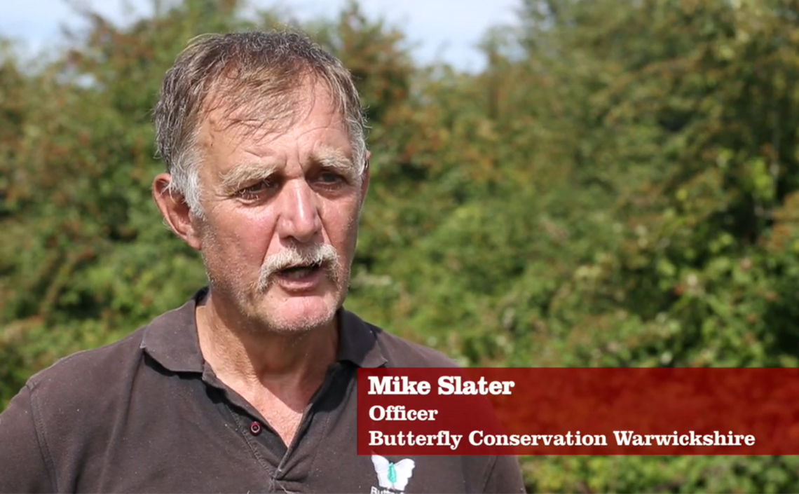 Mike Slater, Chairman of the Warwickshire Branch of Butterfly Conservation talks about the butterflies of Fenny Compton.