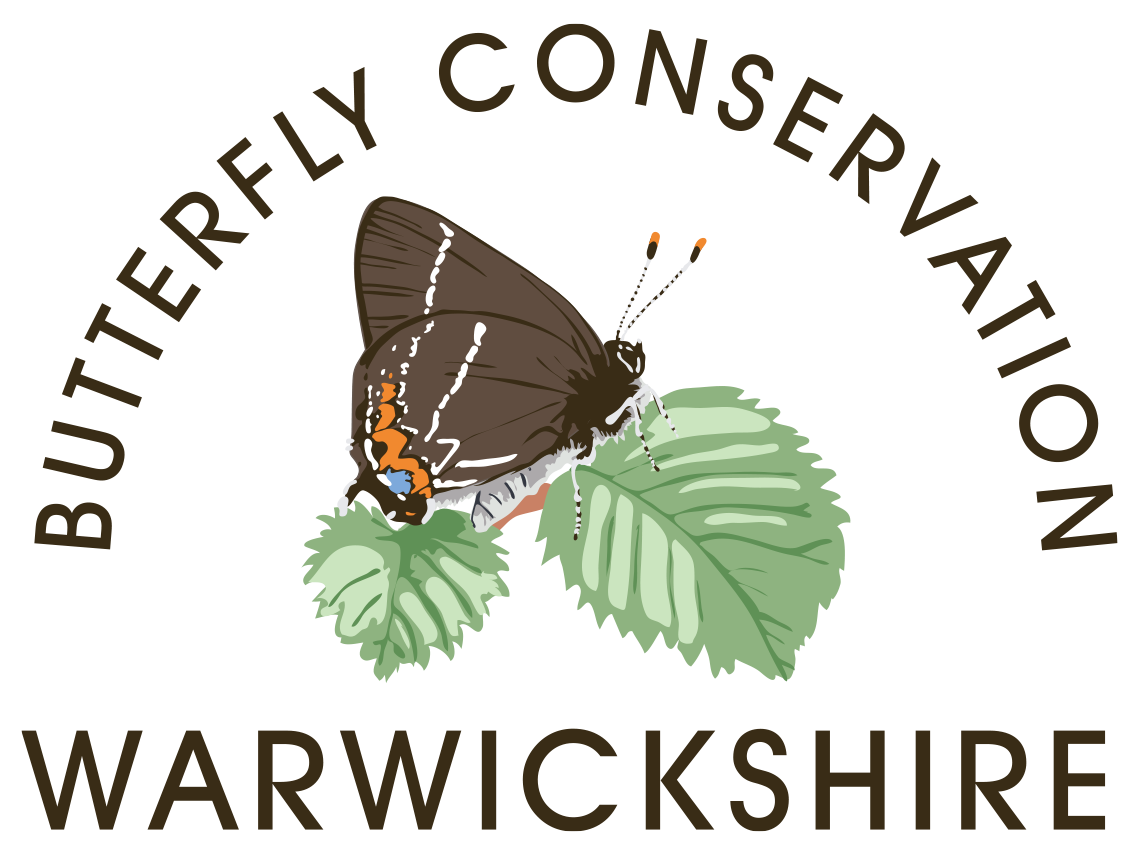 Butterfly Conservation Warwickshire
