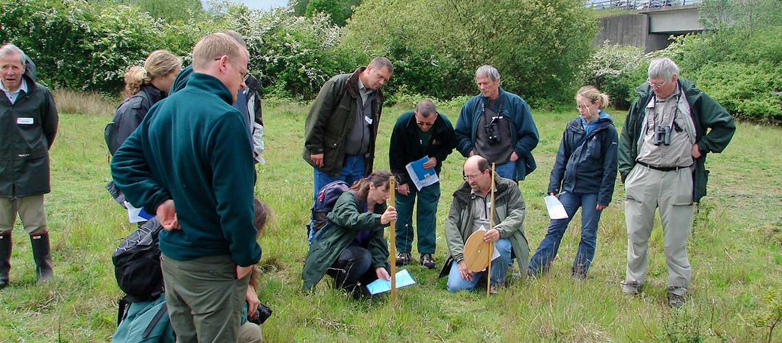 Pooley Fields habitat survey in 2008. © 2022 Jane Ellis.